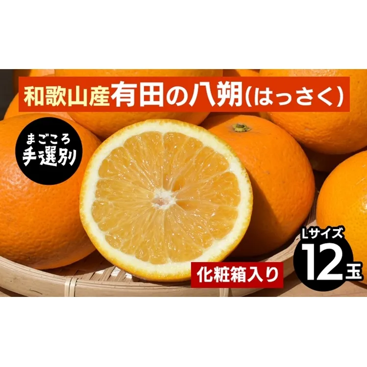 【まごころ手選別】和歌山産有田のはっさく　化粧箱　Lサイズ12個入り ※2026年1月上旬～3月下旬頃に順次発送予定