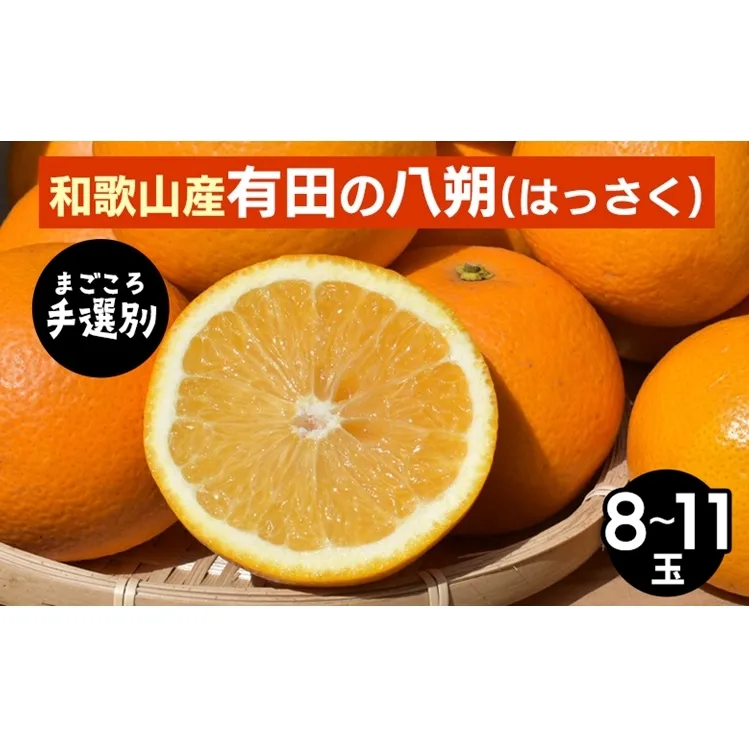 【まごころ手選別】和歌山産有田のはっさく　8～11玉 ※2026年1月上旬～3月下旬頃に順次発送予定