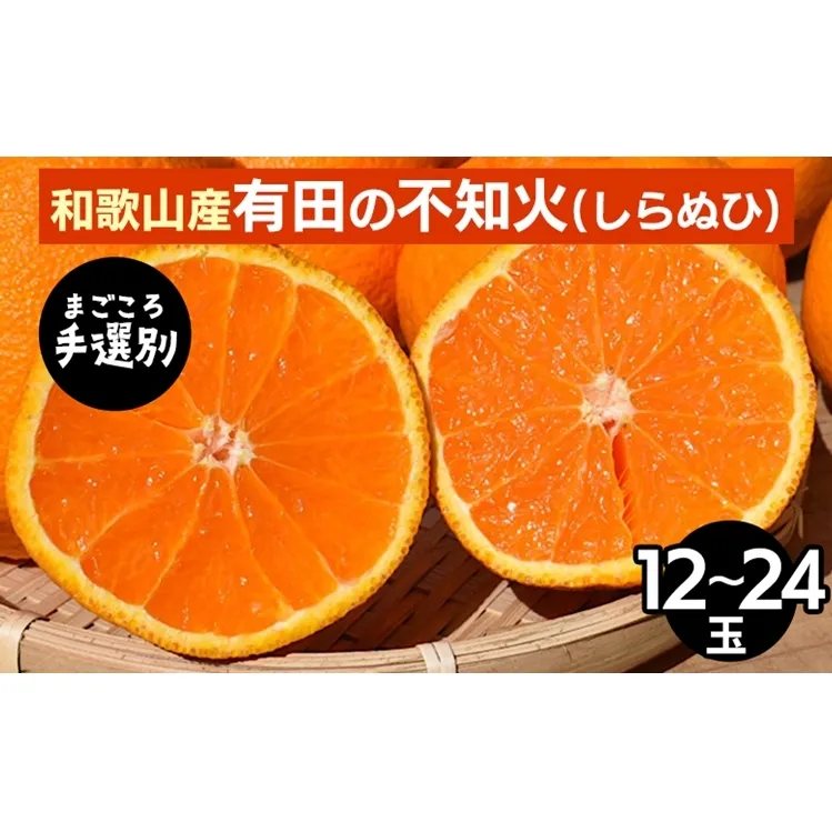 【まごころ手選別】和歌山産　有田の不知火(しらぬひ)12玉～24玉 ※2026年2月上旬～4月下旬頃に順次発送予定