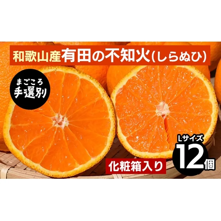 【まごころ手選別】和歌山産　有田の不知火(しらぬひ) 化粧箱(フルーツキャップ付き)Lサイズ12個入り ※2026年2月上旬～4月下旬頃に順次発送予定