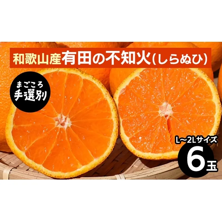 【まごころ手選別】和歌山産　有田の不知火(しらぬひ)(6玉×1箱、L～2Lサイズ) ※2026年2月上旬～4月下旬頃に順次発送予定
