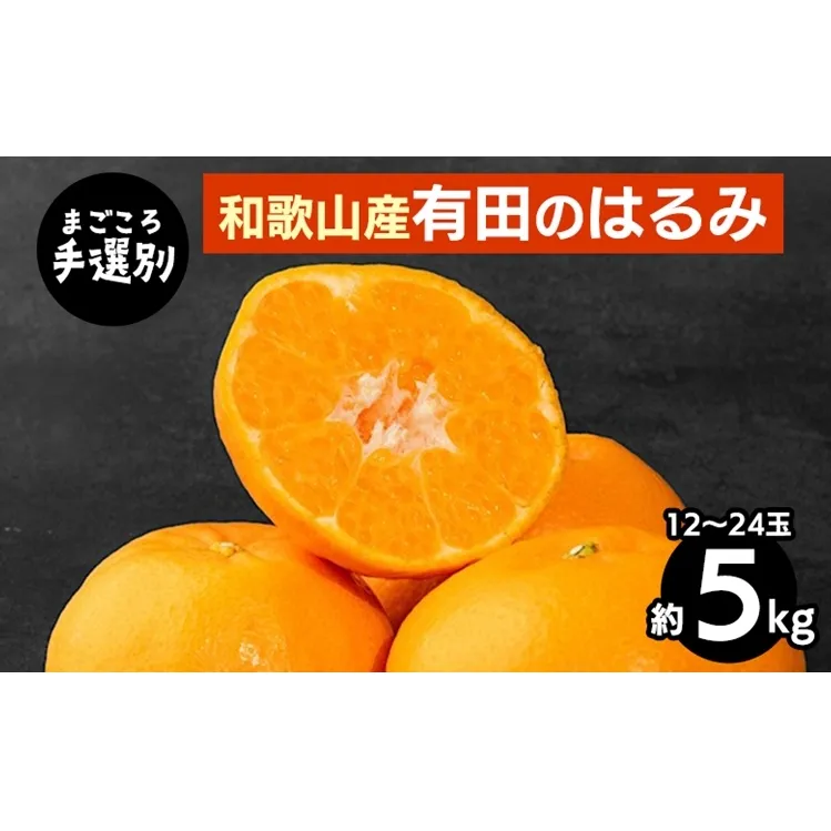 【まごころ手選別】和歌山産　有田のはるみ　約5kg　12玉～24玉 ※2026年1月中旬～2月下旬頃に順次発送予定