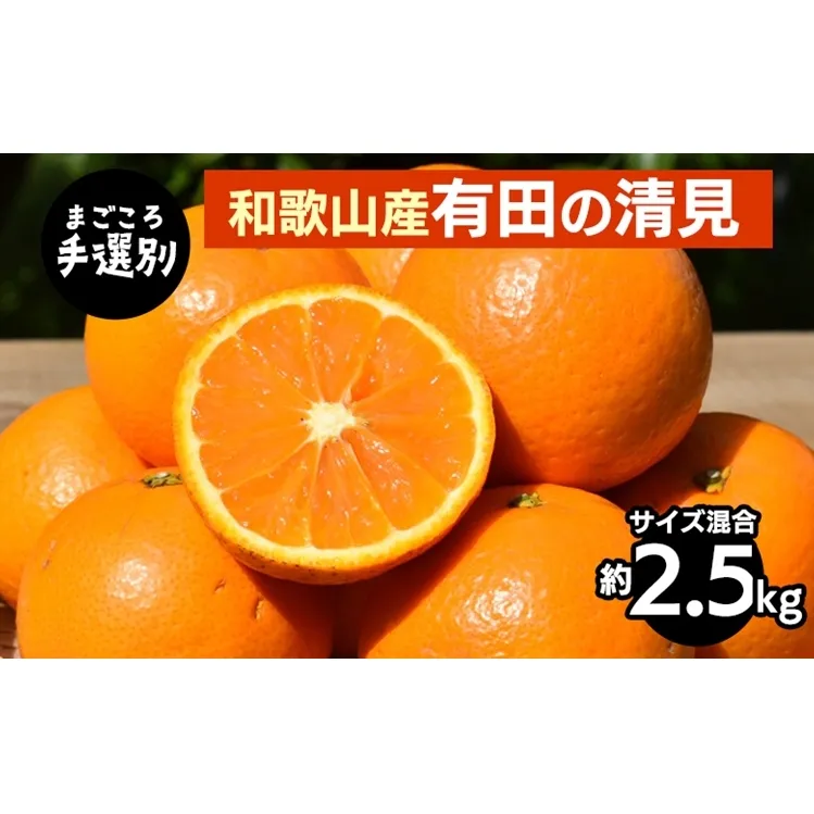 【まごころ手選別】和歌山産　有田の清見　約2.5kg(サイズ混合) ※2026年3月上旬～4月下旬頃に順次発送予定