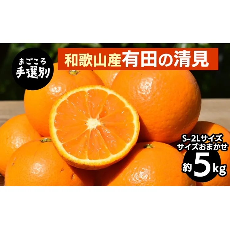 【まごころ手選別】和歌山産　有田の清見　5kg(S～2Lサイズ)サイズおまかせ ※2026年3月上旬～4月下旬頃に順次発送予定