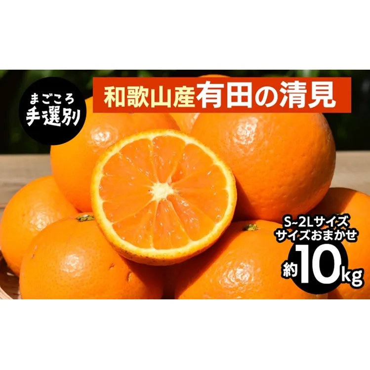 【まごころ手選別】和歌山産　有田の清見　10kg(S～2Lサイズ)サイズおまかせ ※2026年3月上旬～4月下旬頃に順次発送予定