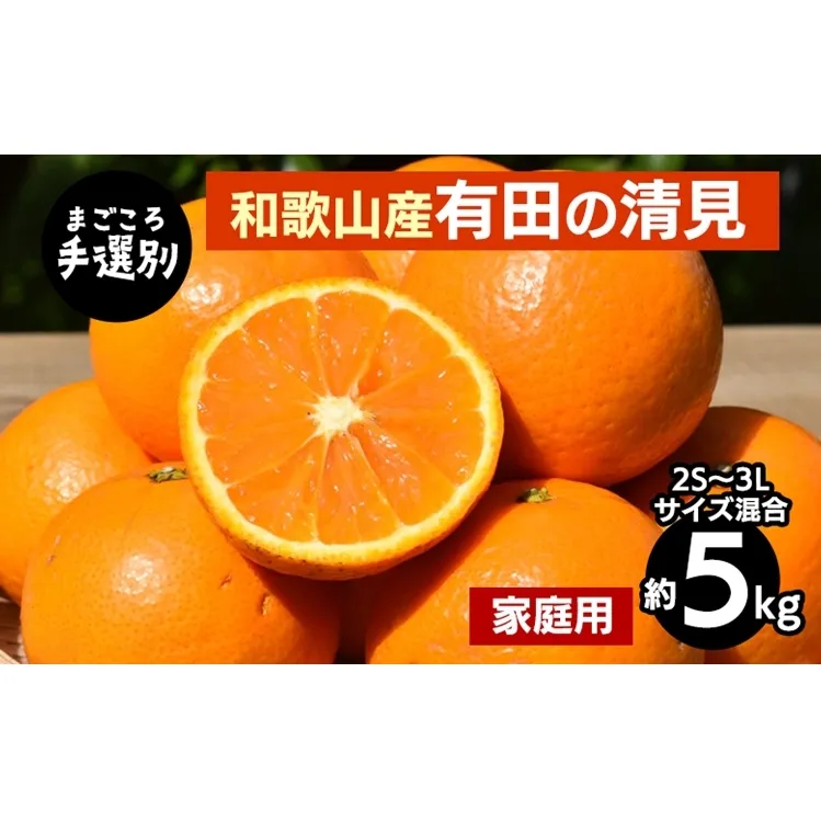 【まごころ手選別】和歌山産　有田の清見　約5kg(2S～3Lサイズ混合)【家庭用】 ※2026年3月上旬～4月下旬頃に順次発送予定