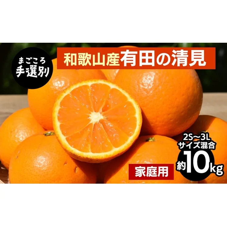 【まごころ手選別】和歌山産　有田の清見　約10kg(2S～3Lサイズ混合)【家庭用】 ※2026年3月上旬～4月下旬頃に順次発送予定
