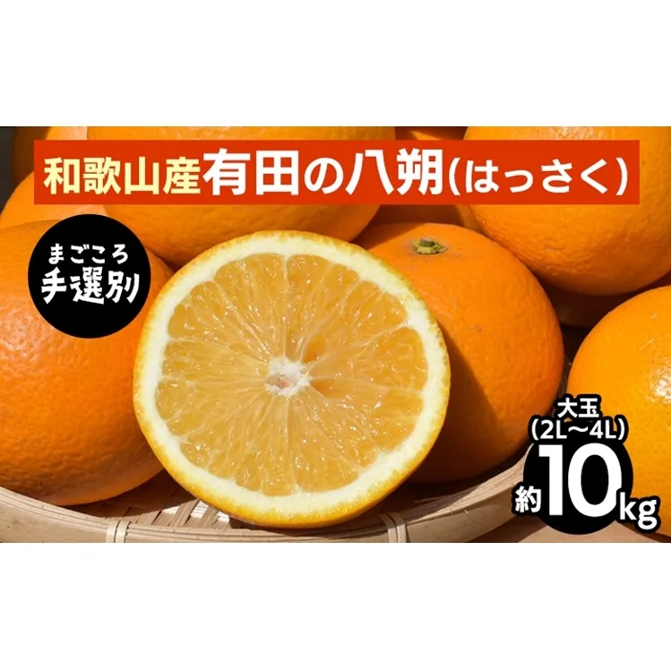 【まごころ手選別】有田のはっさく・10kg大玉(2L～4L) ※2026年1月上旬～3月下旬頃に順次発送予定