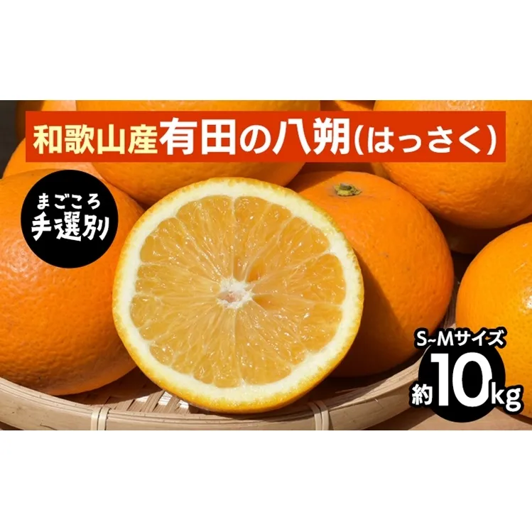 【まごころ手選別】有田のはっさく【八朔】約10kg　S～Mサイズ ※2026年1月上旬～3月下旬頃に順次発送予定