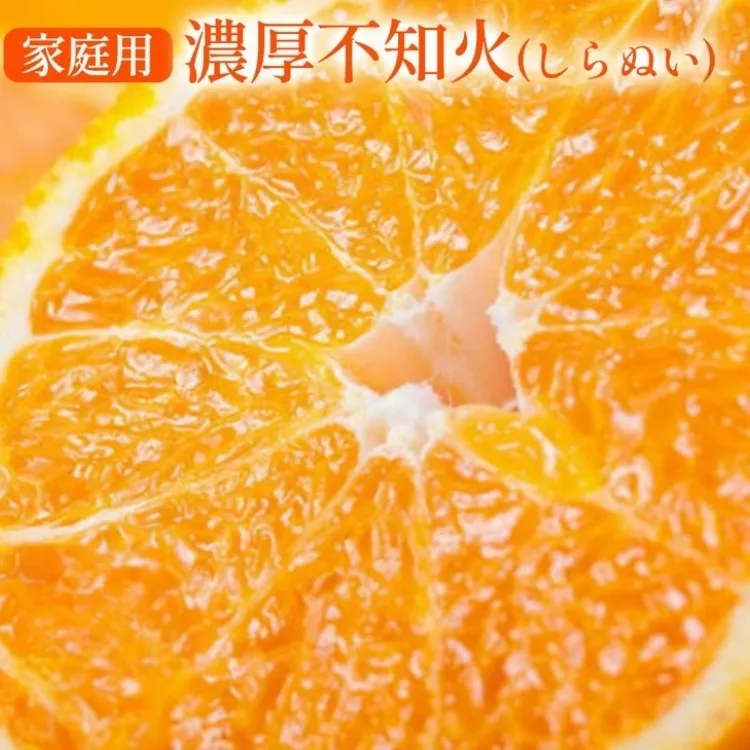 【先行予約】 有田育ちの濃厚 不知火 (デコポン と同品種)(訳あり 家庭用) 約10kg◇ ※2026年1月下旬～3月下旬頃に順次発送予定 ※沖縄・離島への配送不可