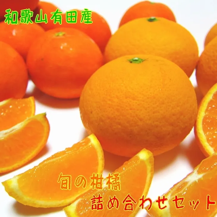 【先行予約】旬の柑橘詰め合わせセット（ご家庭用）約10kg ｜ フルーツ ふるーつ 果物 くだもの 詰め合わせ オレンジ みかん レモン 国産 産地直送 美浜町 ※2026年1月中旬～4月下旬頃に順次発送予定 ※北海道・沖縄・離島への配送不可