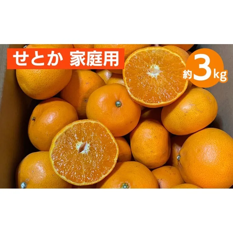 せとか　約3kg　家庭用 ※2026年2月下旬～4月中旬頃より順次発送予定