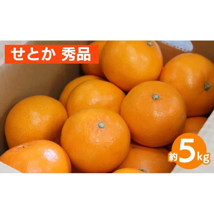 せとか　約5kg　秀品 ※2026年2月下旬～4月中旬頃より順次発送予定