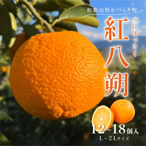 先行予約!紅はっさく 約5kg/12～18個入り(L～2Lサイズ)こだわり農家厳選! ※2026年1月下旬～2月下旬頃より順次発送予定