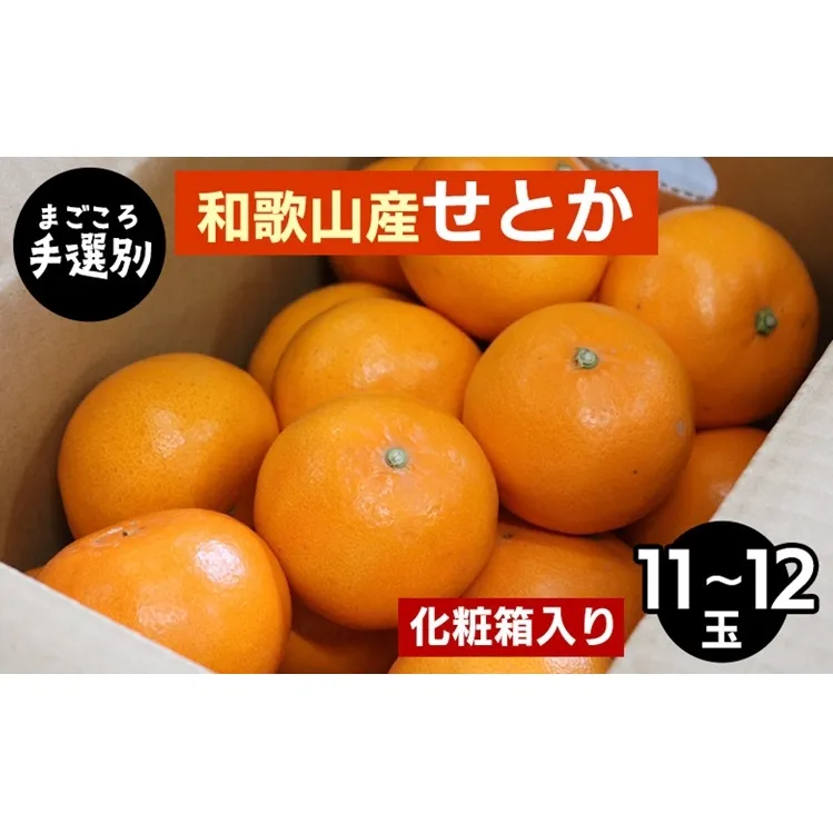 【まごころ手選別】和歌山産　せとか　化粧箱入り　(11～12玉) ※2026年2月下旬～4月中旬頃より順次発送予定