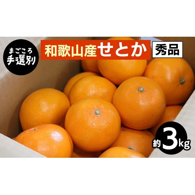 【まごころ手選別】和歌山産　せとか　約3kg　秀品 ※2026年2月下旬～4月中旬頃より順次発送予定