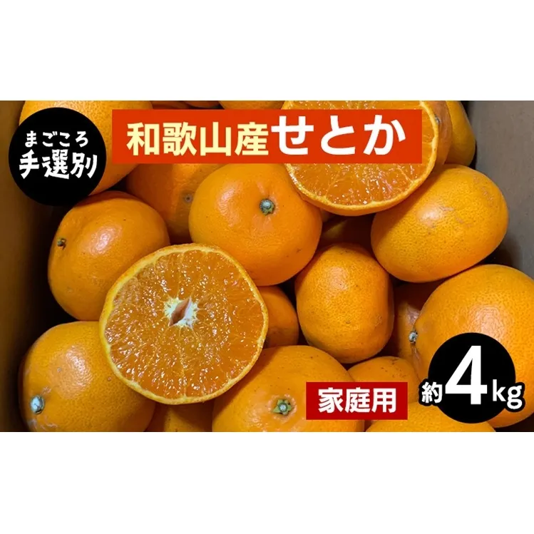 【まごころ手選別】和歌山産　せとか　約4kg 家庭用 ※2026年2月下旬～4月中旬頃より順次発送予定