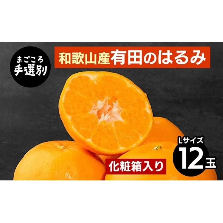 【まごころ手選別】和歌山産有田のはるみ　化粧箱入り　Lサイズ　12個入り ※2026年1月下旬～2月下旬頃より順次発送予定