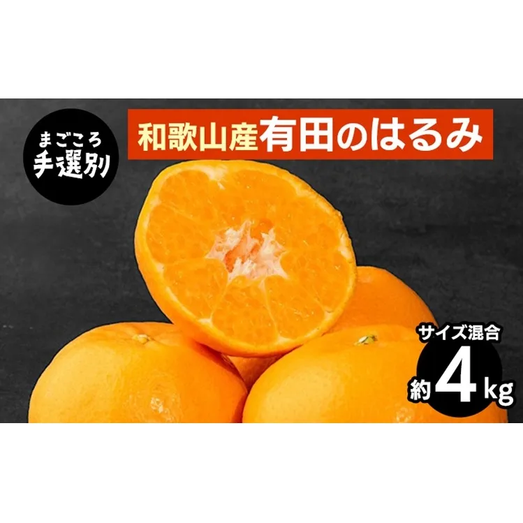 【まごころ手選別】和歌山産有田のはるみ　約4kg(サイズ混合) ※2026年1月下旬～2月下旬頃より順次発送予定
