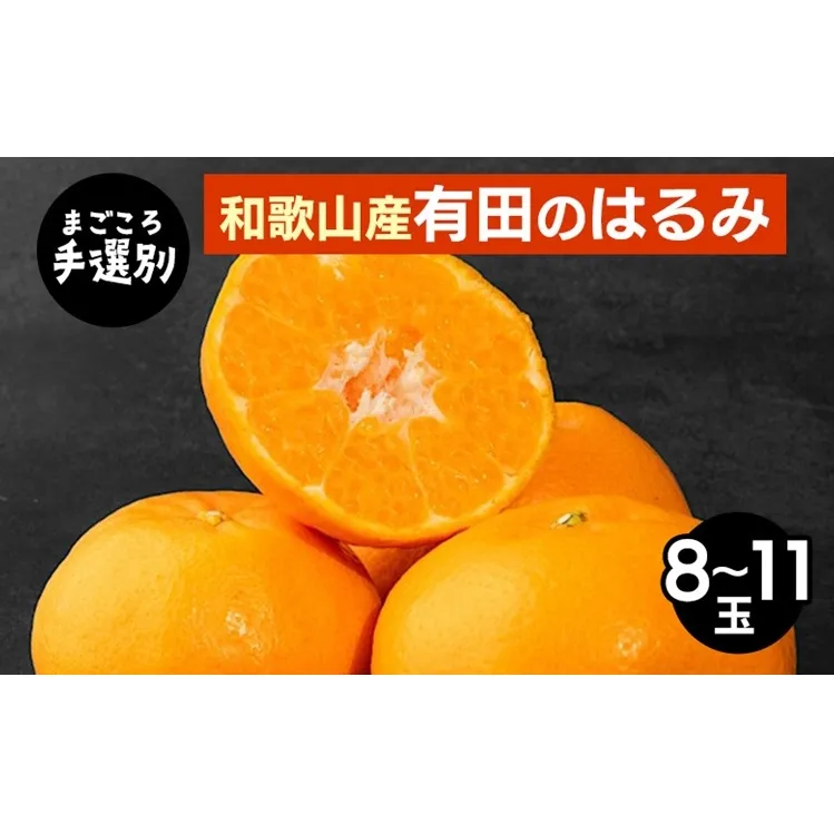【まごころ手選別】和歌山産　有田のはるみ　8～11玉 ※2026年1月下旬～2月下旬頃より順次発送予定