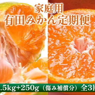 〈定期便〉【10・11・12月 全3回】家庭用 有田みかん定期便 2.5kg+250g（傷み補償分）※北海道・沖縄・離島への配送不可