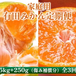 〈定期便〉【10・11・12月 全3回】家庭用 有田みかん定期便 5kg+250g（傷み補償分）※北海道・沖縄・離島への配送不可