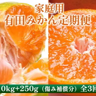 〈定期便〉【10・11・12月 全3回】家庭用 有田みかん定期便 10kg+250g（傷み補償分）※北海道・沖縄・離島への配送不可