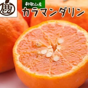 ＜4月より発送＞厳選 カラマンダリン10kg+250g（傷み補償分）◇【南津海・なつみ】【希少な春柑橘】【みかんと同じように食べられます】　※北海道・沖縄・離島への配送不可　※2026年4月上旬～5月下旬頃に順次発送予定