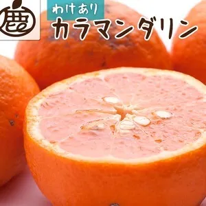 ＜4月より発送＞家庭用 カラマンダリン10kg+250g（傷み補償分）◇【南津海・なつみ】【希少な春柑橘】【わけあり・訳あり】【みかんと同じように食べられます】　※北海道・沖縄・離島への配送不可　※2026年4月上旬～5月下旬頃に順次発送予定
