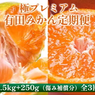 〈定期便〉【10・11・12月 全3回】極プレミアム 有田みかん定期便 2.5kg+250g （傷み補償分） ※北海道・沖縄・離島への配送不可