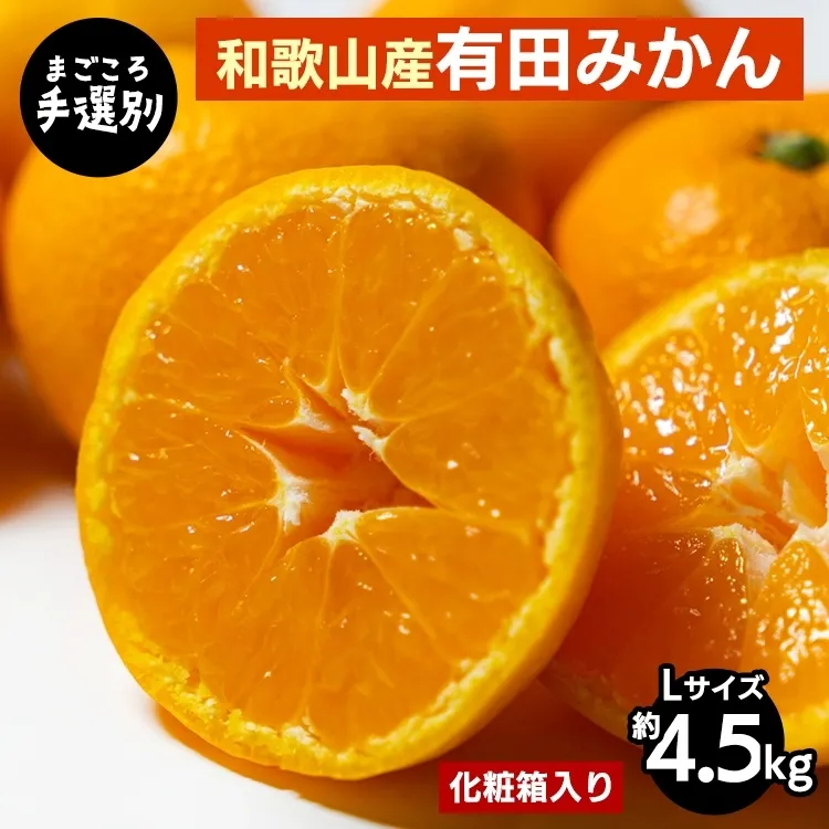 和歌山の有田みかん 化粧箱入り 4.5kg Lサイズ｜まごころ手選別 ミカン 蜜柑 温州みかん 柑橘 和歌山 ギフト 贈答 ※2025年11月上旬～2026年1月下旬頃に順次発送予定