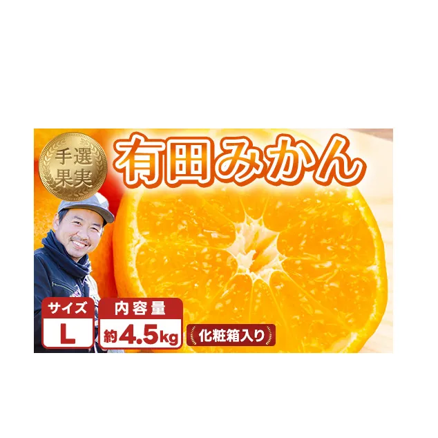 和歌山の有田みかん 化粧箱入り 4.5kg Lサイズ｜まごころ手選別 ミカン 蜜柑 温州みかん 柑橘 和歌山 ギフト 贈答 ※2025年11月上旬～2026年1月下旬頃に順次発送予定
