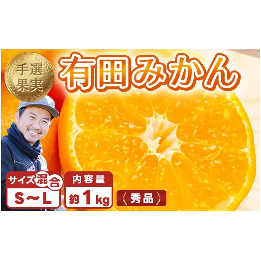 【まごころ手選別】有田みかん 秀品 約1kg（S～Lサイズ混合） ※2025年11月上旬～2026年1月下旬頃に順次発送予定