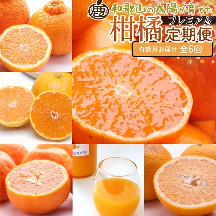 【定期便】厳選 柑橘定期便 M 6回（奇数月）※北海道・沖縄・離島への配送不可※奇数月に発送