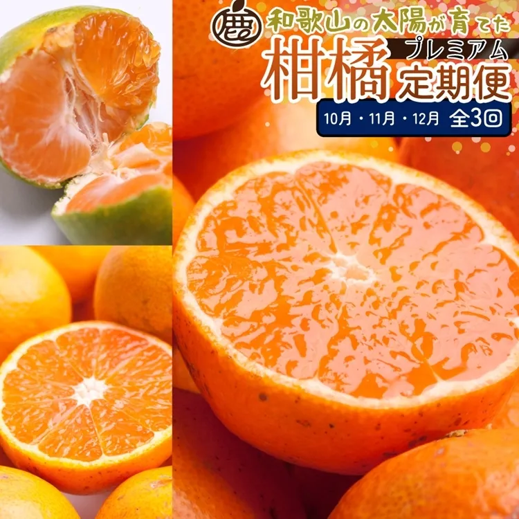 【定期便】厳選 柑橘定期便 M 3回（10～12月）※北海道・沖縄・離島への配送不可※10月・11月・12月に発送