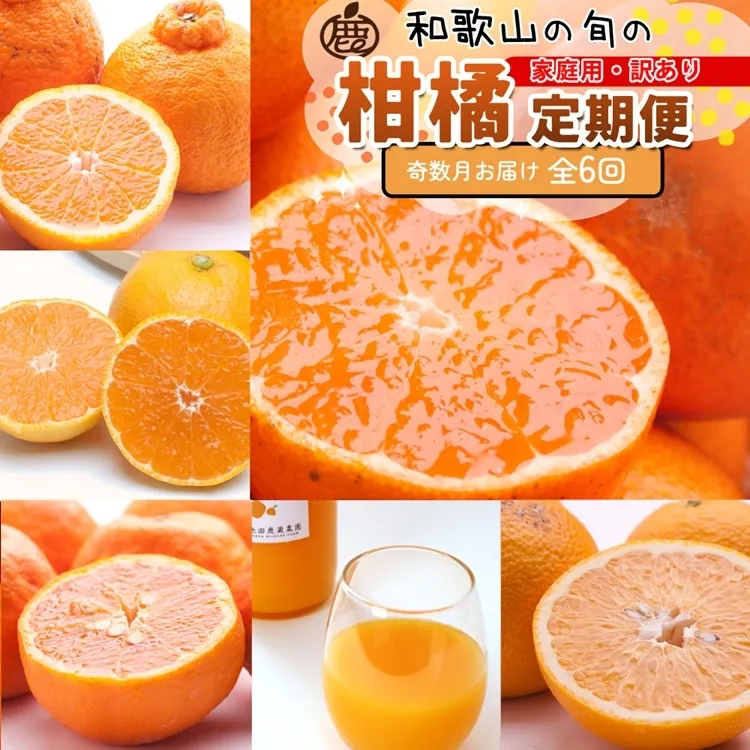 【定期便】家庭用 柑橘定期便 M 6回（奇数月）※北海道・沖縄・離島への配送不可※奇数月に発送