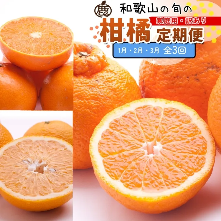 【定期便】家庭用 柑橘定期便 M 3回（1～3月）※北海道・沖縄・離島への配送不可※1月・2月・3月に発送