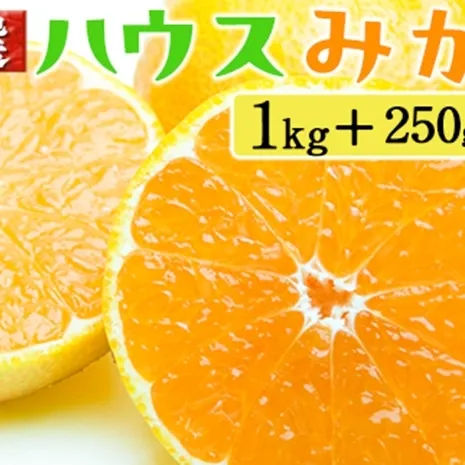 厳選 ハウスみかん1kg+250g（傷み補償分）