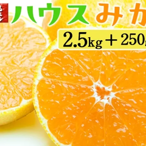 厳選 ハウスみかん2.5kg+250g（傷み補償分）