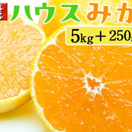 厳選 ハウスみかん5kg+250g（傷み補償分）