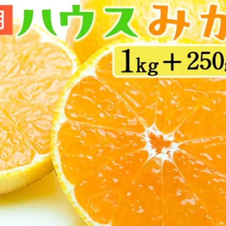 家庭用 ハウスみかん1kg+250g（傷み補償分）