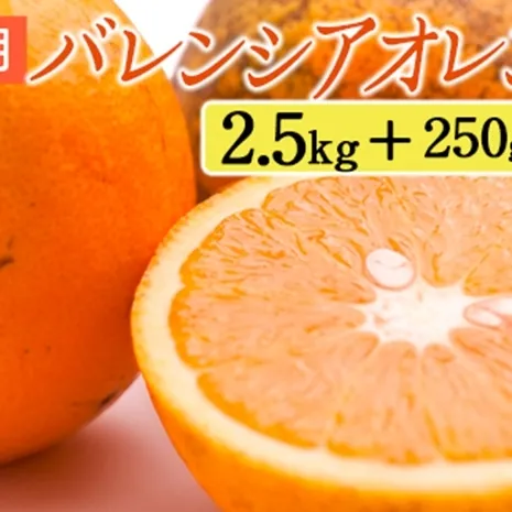 家庭用 バレンシアオレンジ2.5kg+250g（傷み補償分）