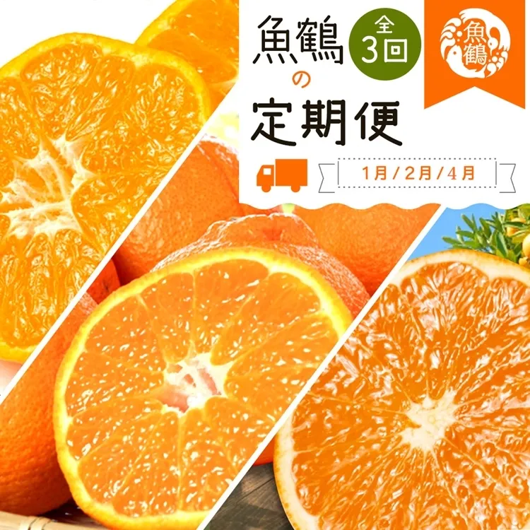 〈定期便〉【1・2・4月 全3回】紀州和歌山産旬の柑橘セット(みかん・不知火・清見)