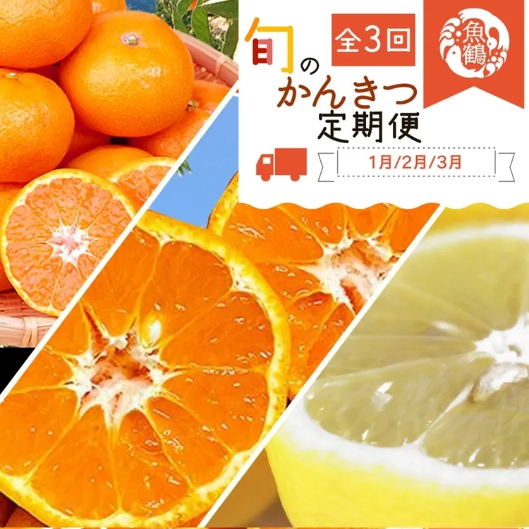 〈定期便〉【1・2・3月 全3回】紀州和歌山産旬のフルーツセット(みかん・不知火・レモン)