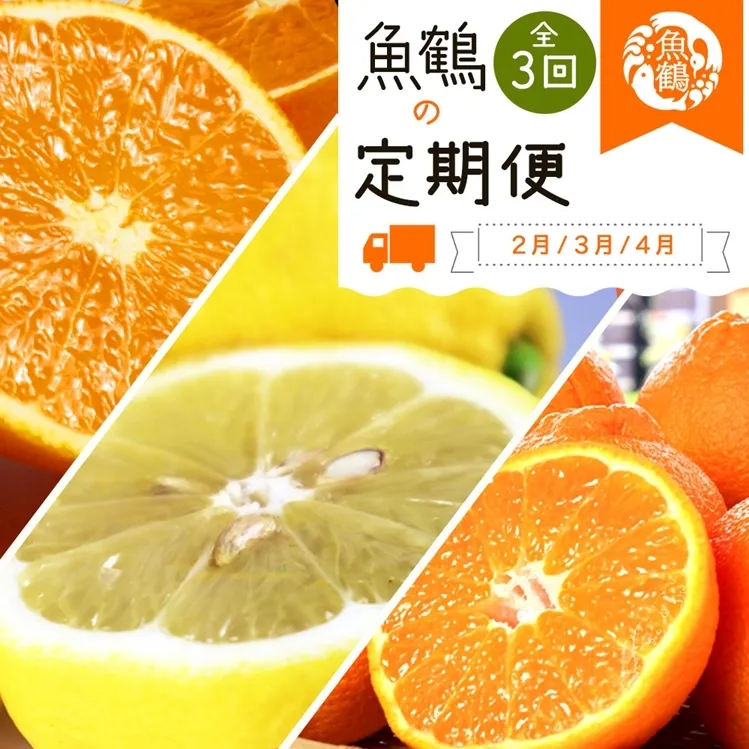 〈定期便〉【2・3・4月 全3回】紀州和歌山産旬の柑橘セット(不知火・レモン・清見)