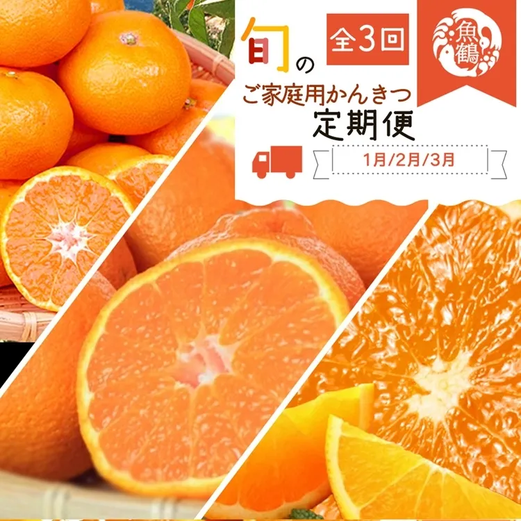 〈定期便〉【1・2・3月 全3回】紀州和歌山産旬のご家庭用柑橘セット(みかん・不知火・清見)