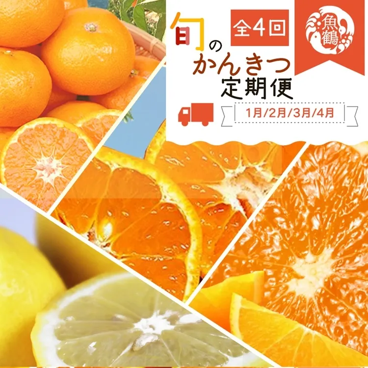 〈定期便〉【1・2・3・4月 全4回】紀州和歌山産旬のフルーツセット(みかん・不知火・レモン・清見)
