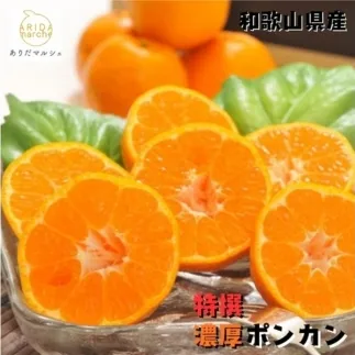 【特選】濃厚 ポンカン 3kg ｜ みかん 蜜柑 柑橘 果物 フルーツ くだもの 果実 国産 和歌山県 晩柑