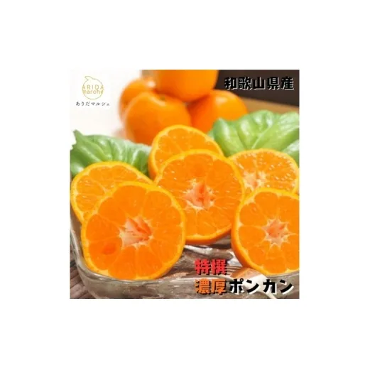 【特選】濃厚 ポンカン 5kg ｜ みかん 蜜柑 柑橘 果物 フルーツ くだもの 果実 国産 和歌山県 晩柑