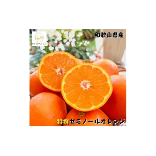 【特撰】セミノール 3kg ｜ みかん 高級 くだもの 晩柑 柑橘 和歌山